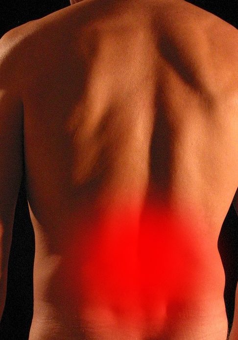 back-5248830_1280